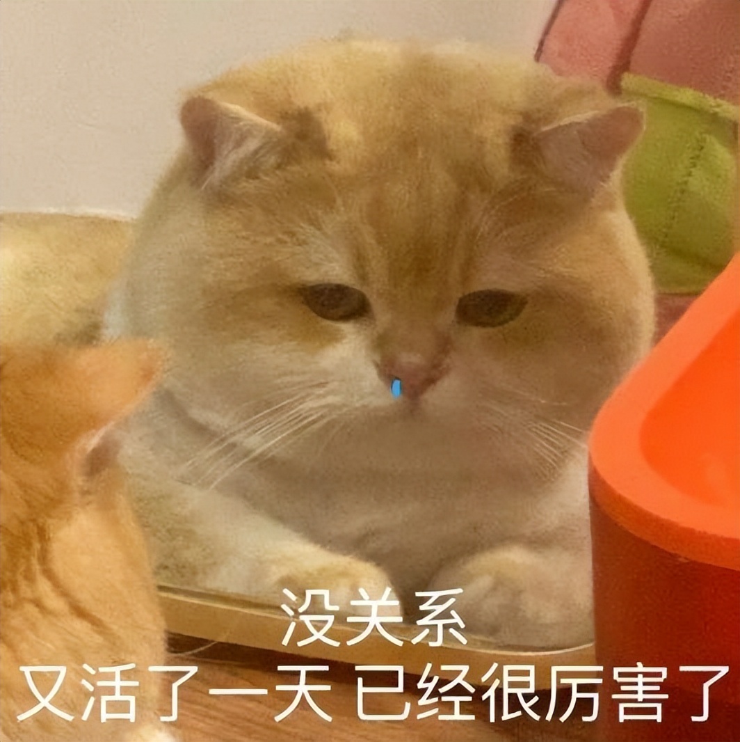 _暴雪回应_暴雪将在22年初解散