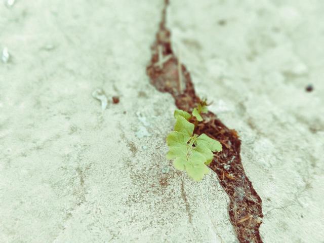 犯错小徒弟成长故事__犯错小品