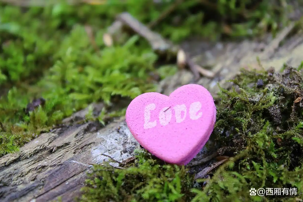 真心小心说话爱人的句子_真心小心说话爱人是什么歌_