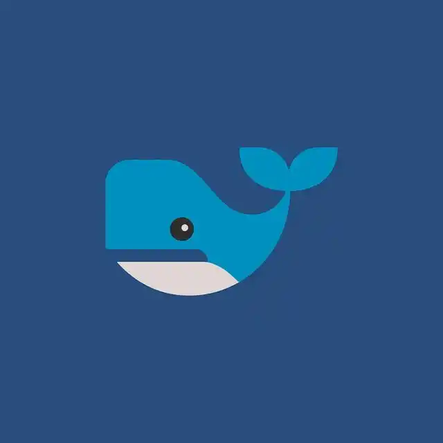 规则和感情哪个重要_有规则的爱才是真正的爱_