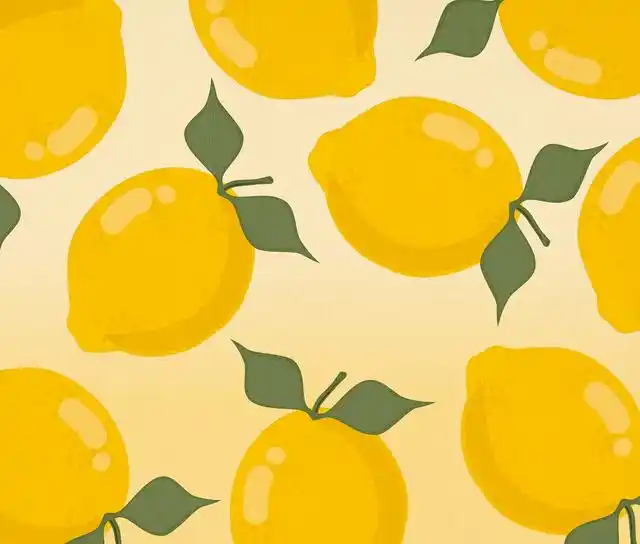 规则和感情哪个重要__有规则的爱才是真正的爱