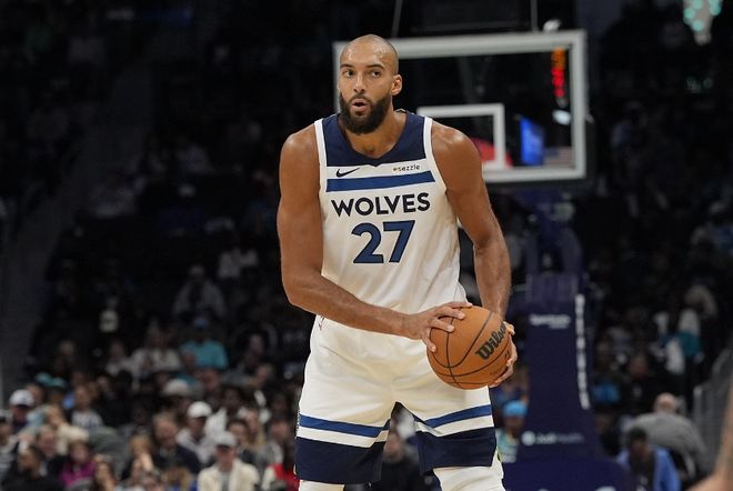 戈贝尔nba__戈贝尔效力nba哪个球队