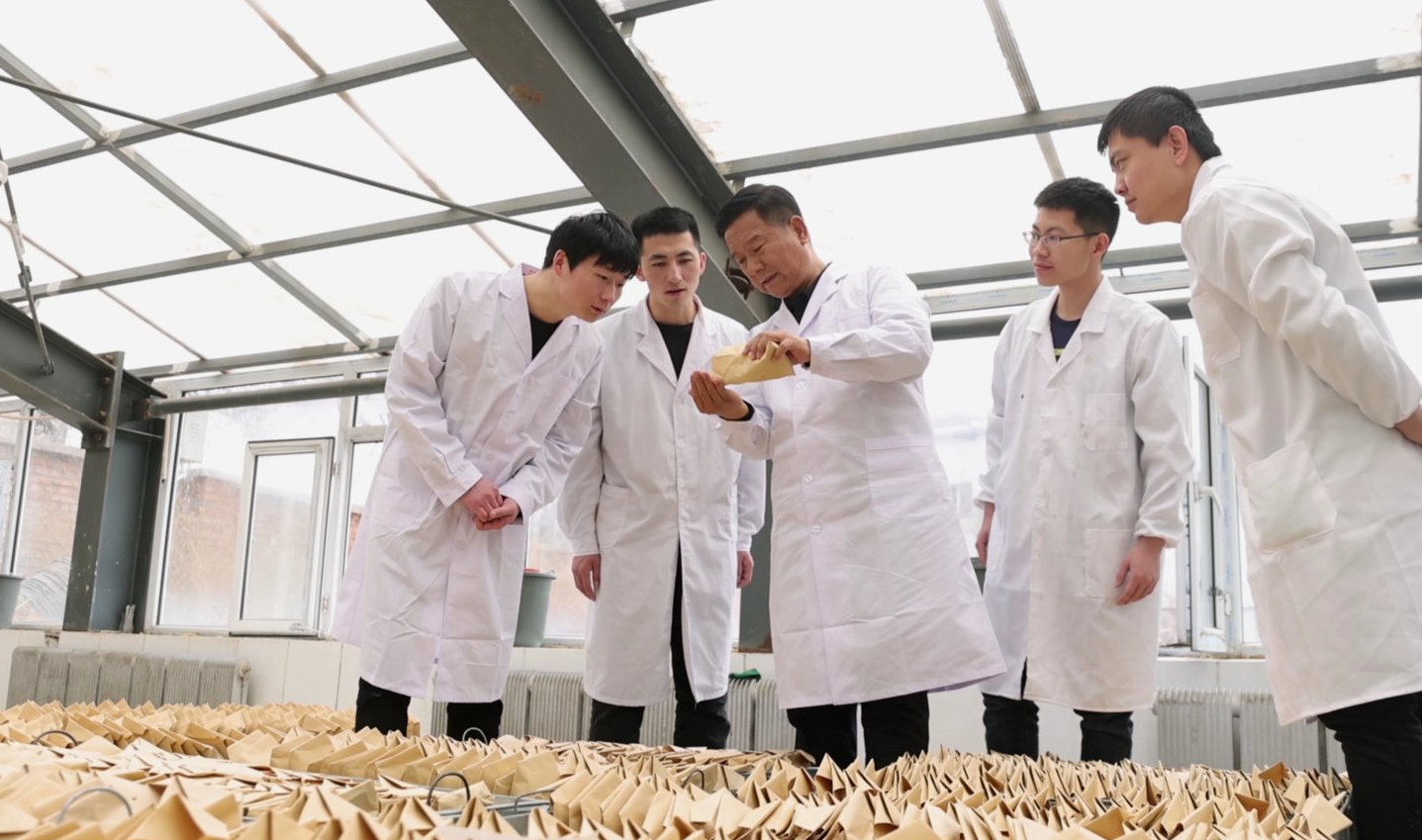 央视新闻中心首席出镜记者_封面新闻首席记者_