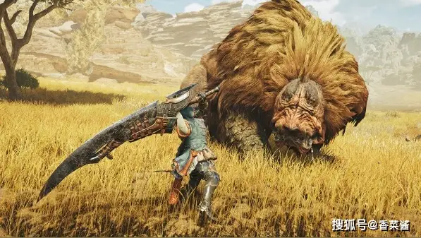 _怪物猎人大剑的猎装怎么弄_猎人装配荒野怪物大剑还是小剑