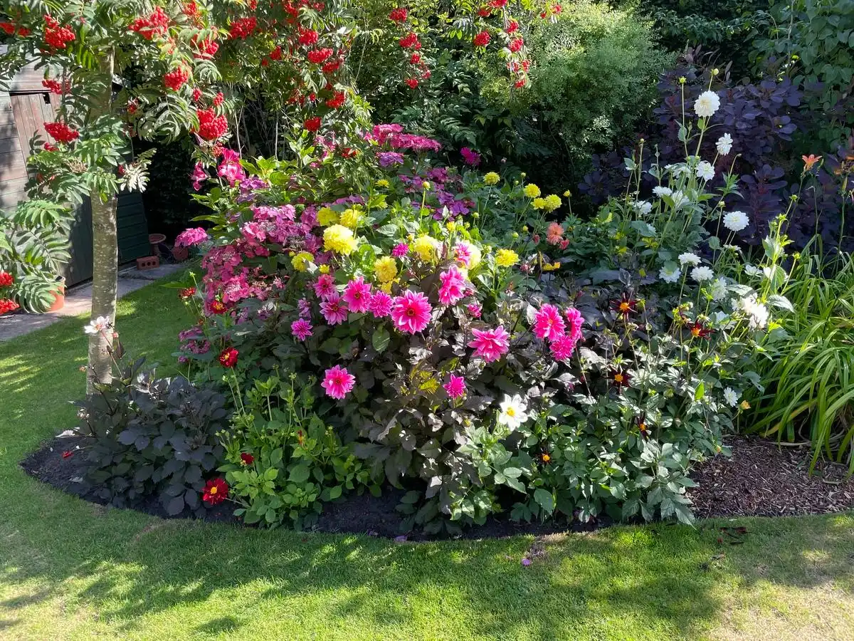 _牵挂在心里的叫什么_牵挂在心头