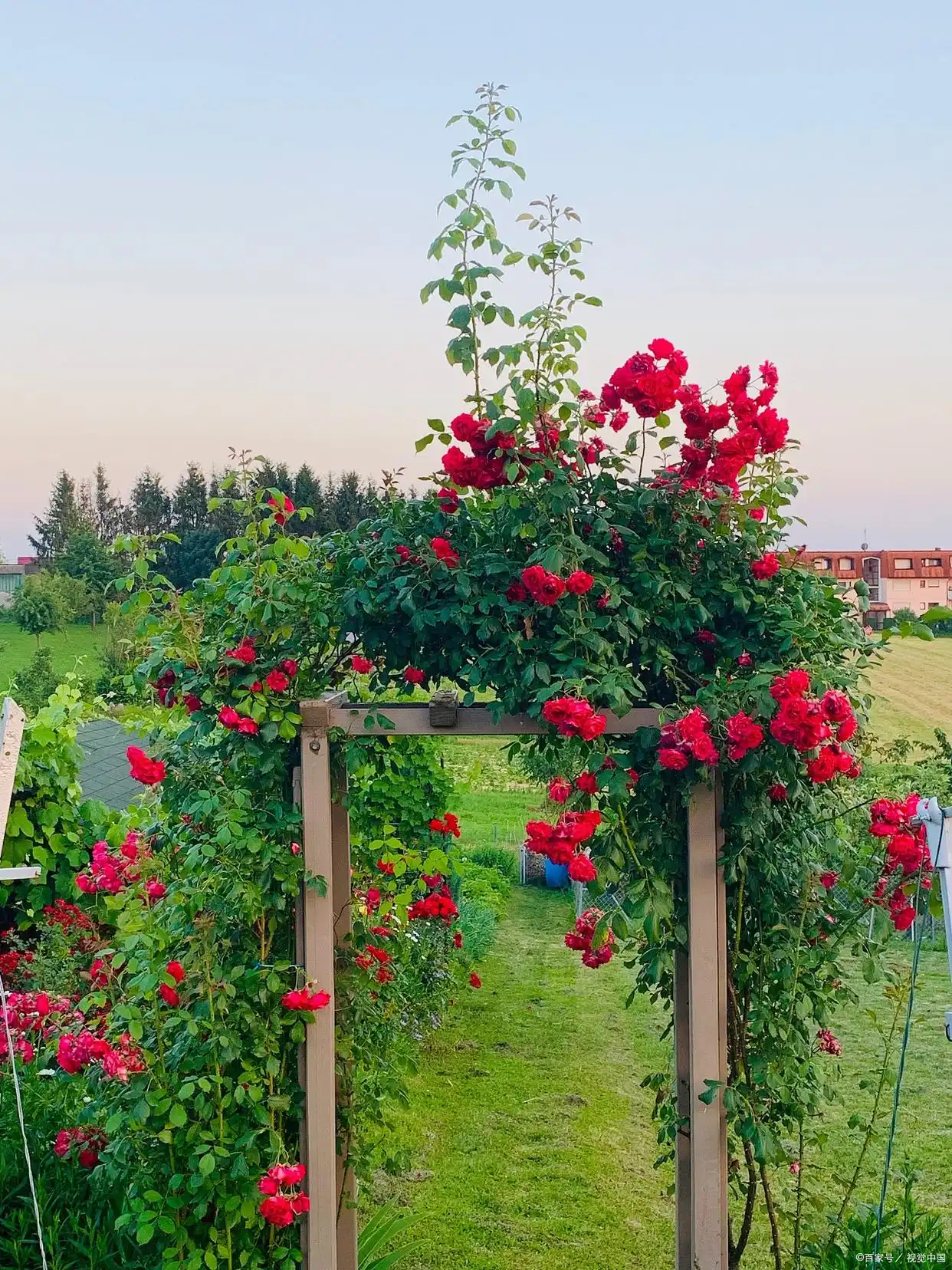 牵挂在心头_牵挂在心里的叫什么_