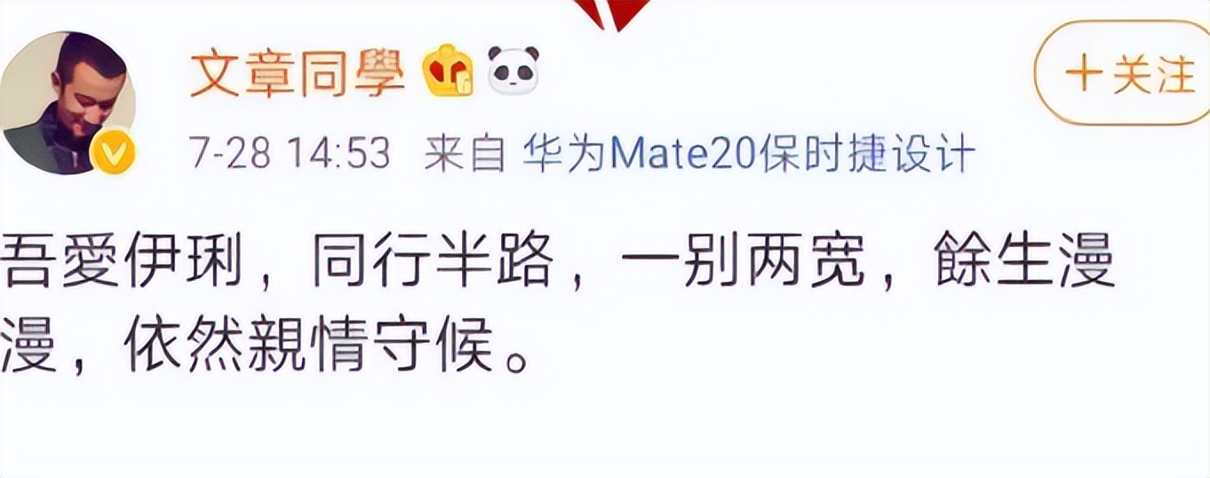 _文章没想到，离婚6年再次官宣喜讯的马伊琍 已成他高不可攀的存在_文章没想到，离婚6年再次官宣喜讯的马伊琍 已成他高不可攀的存在