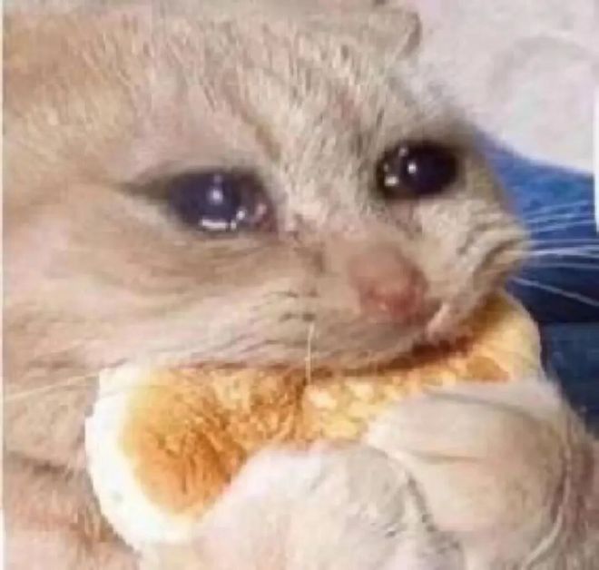 牛森森医师__14+17！太牛逼了！混音队友点评杨瀚森