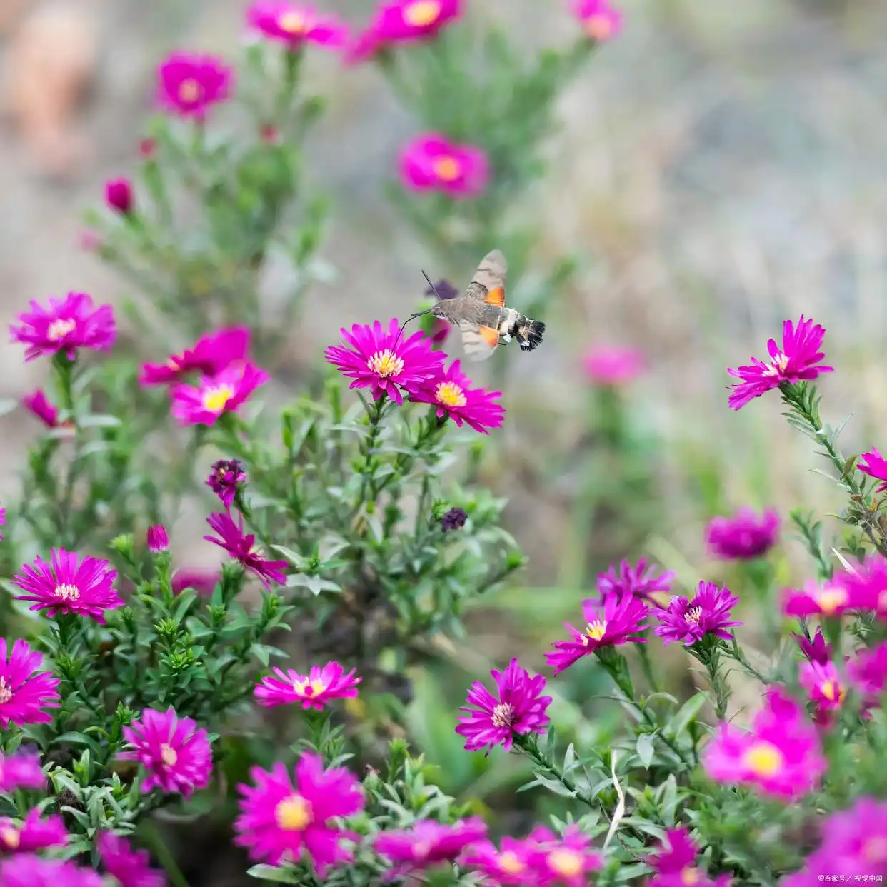想你入骨是什么意思__是爱想你魂入刻骨想什么歌