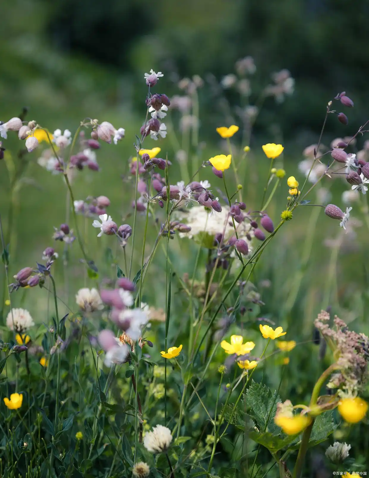是爱想你魂入刻骨想什么歌__想你入骨是什么意思