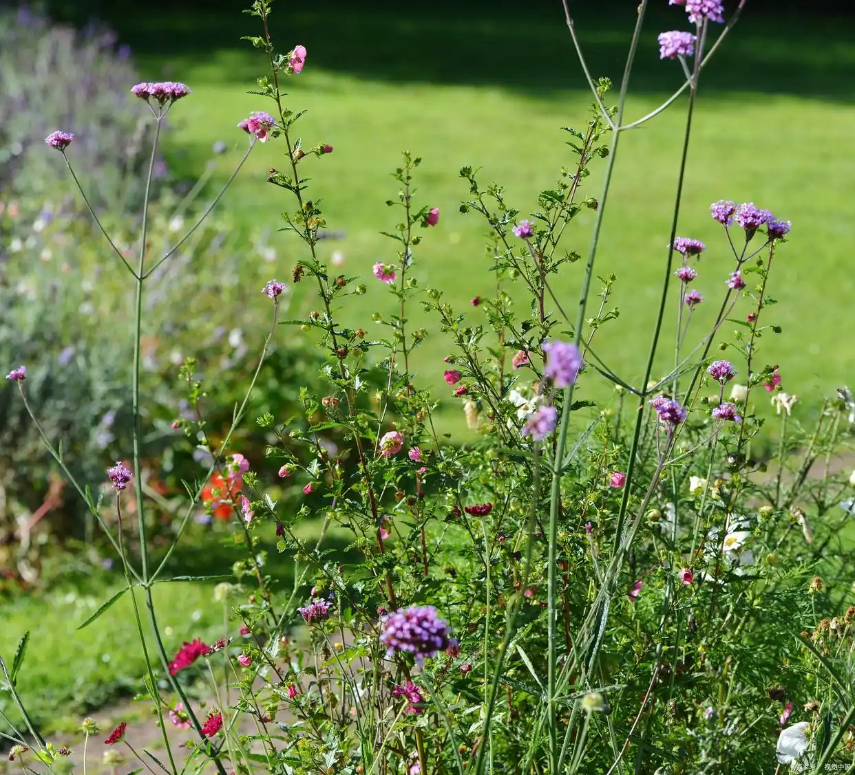 _是爱想你魂入刻骨想什么歌_想你入骨是什么意思