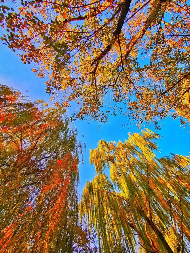 铁兄弟钢雕_歌曲铁兄弟_