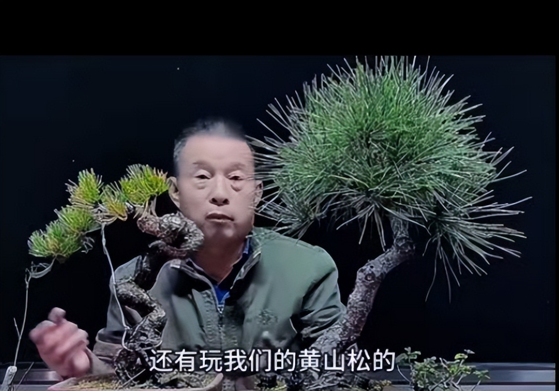 68岁知名网红老师猝逝!知情人曝死因:4号直播后主动脉夹层破裂_68岁知名网红老师猝逝!知情人曝死因:4号直播后主动脉夹层破裂_