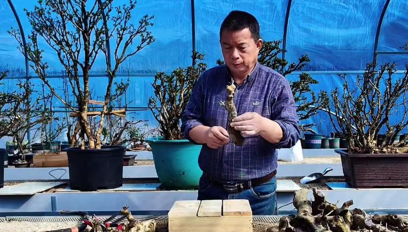 _68岁知名网红老师猝逝!知情人曝死因:4号直播后主动脉夹层破裂_68岁知名网红老师猝逝!知情人曝死因:4号直播后主动脉夹层破裂