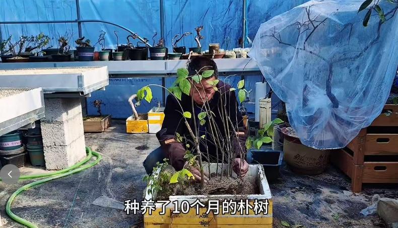 68岁知名网红老师猝逝!知情人曝死因:4号直播后主动脉夹层破裂__68岁知名网红老师猝逝!知情人曝死因:4号直播后主动脉夹层破裂