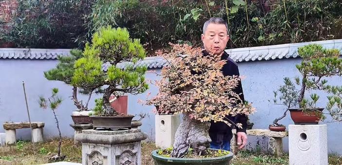 68岁知名网红老师猝逝!知情人曝死因:4号直播后主动脉夹层破裂__68岁知名网红老师猝逝!知情人曝死因:4号直播后主动脉夹层破裂