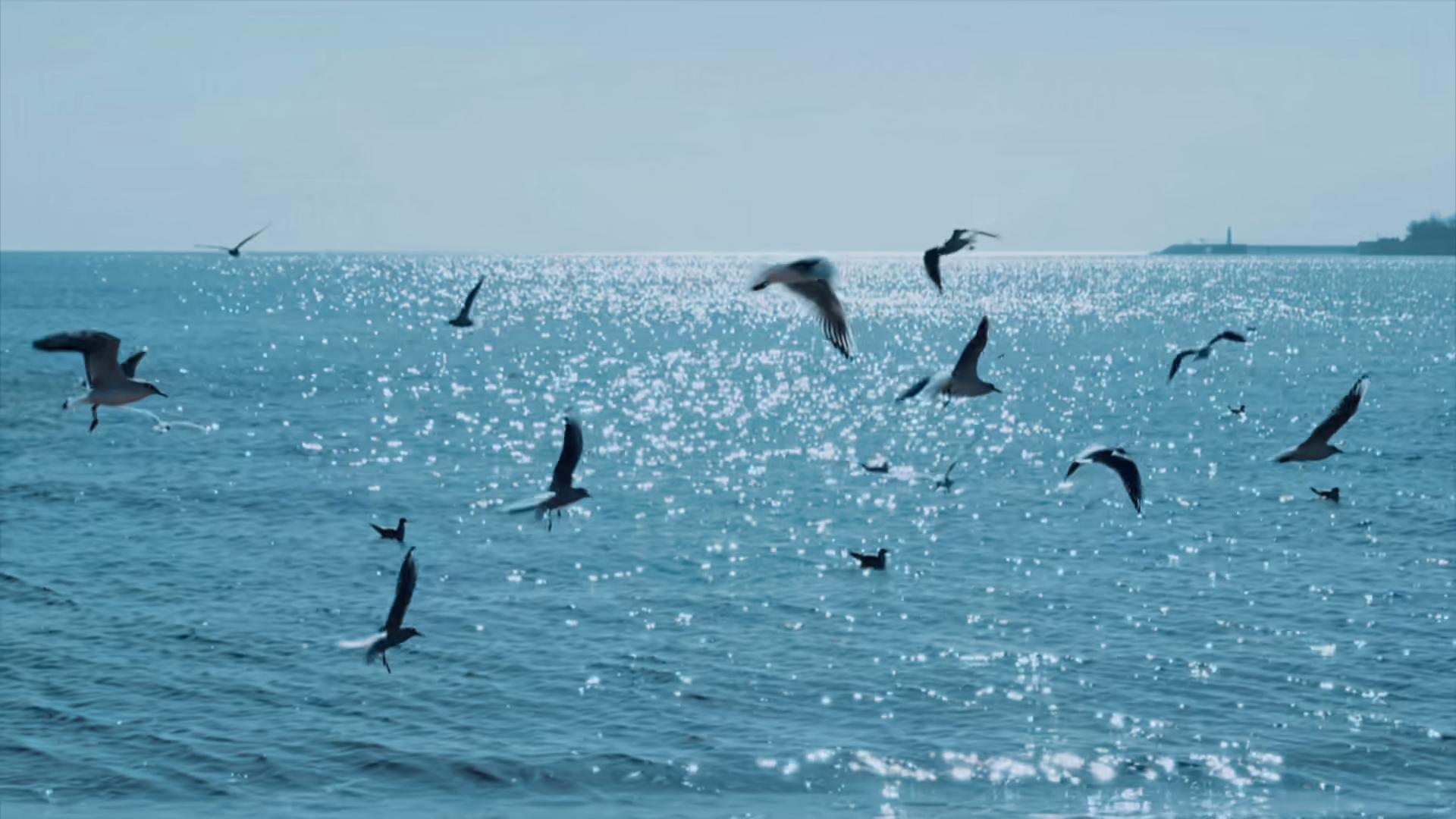 央视风景欣赏_看风景的窗户电影_