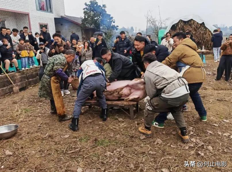 清醒到可怕！呆呆被人民日报点名后火速暂退网，拒绝榜一大哥打赏_清醒到可怕！呆呆被人民日报点名后火速暂退网，拒绝榜一大哥打赏_