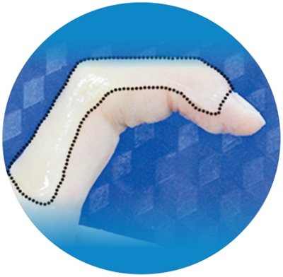 _家蚕基因国家重点实验室_家蚕知识