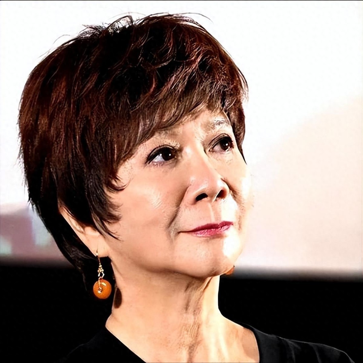 _2021春晚蔡明潘长江节目单_今年春晚蔡明和潘长江