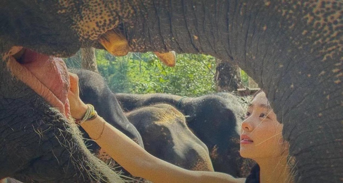 遗传得真好,已经18岁的黄多多打扮成熟,与妈妈一样一见误终身__遗传得真好,已经18岁的黄多多打扮成熟,与妈妈一样一见误终身