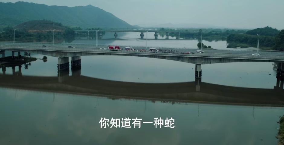 _黑马剧制_电视连续剧黑马