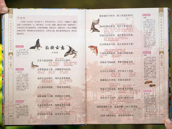 大唐无双爱拍_最新泰剧虐心2017热播泰剧_