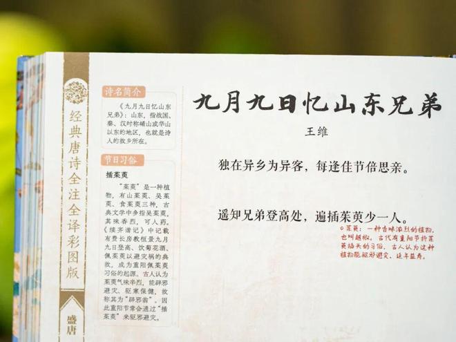 最新泰剧虐心2017热播泰剧__大唐无双爱拍