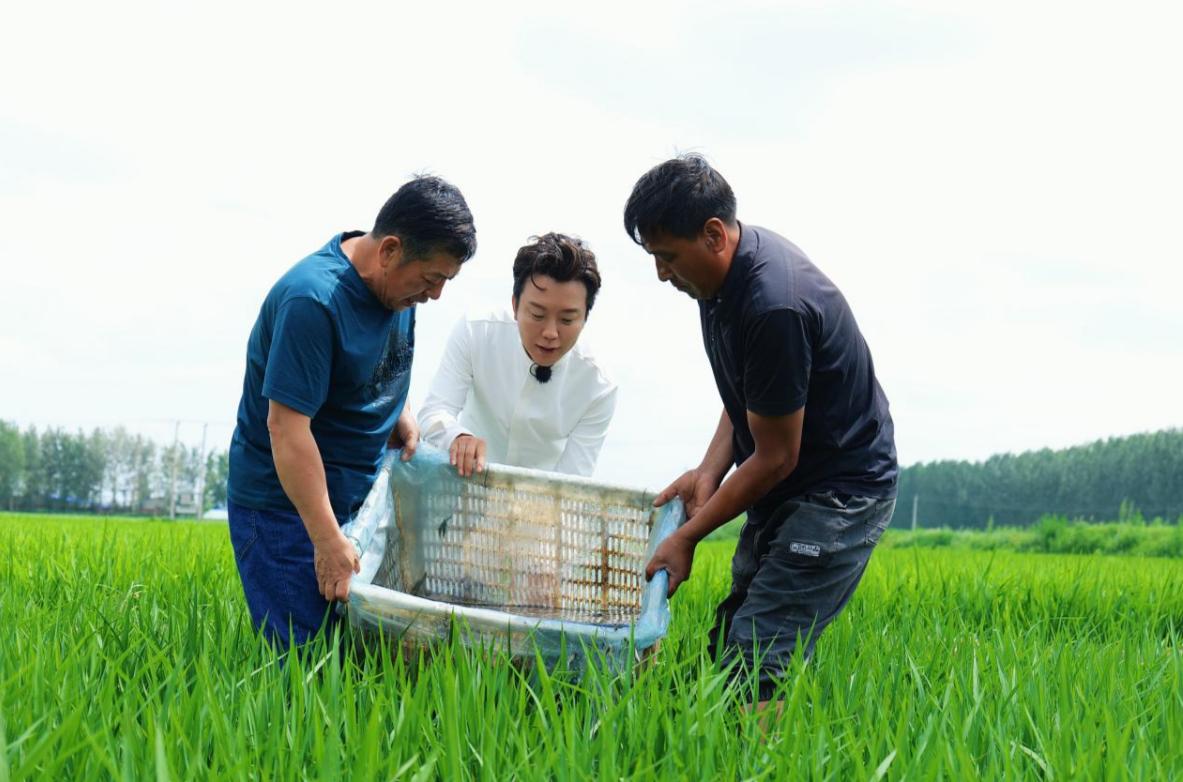 一把好牌打得稀烂！47岁“跳梁小丑”李玉刚，口碑彻底反转了？_一把好牌打得稀烂！47岁“跳梁小丑”李玉刚，口碑彻底反转了？_