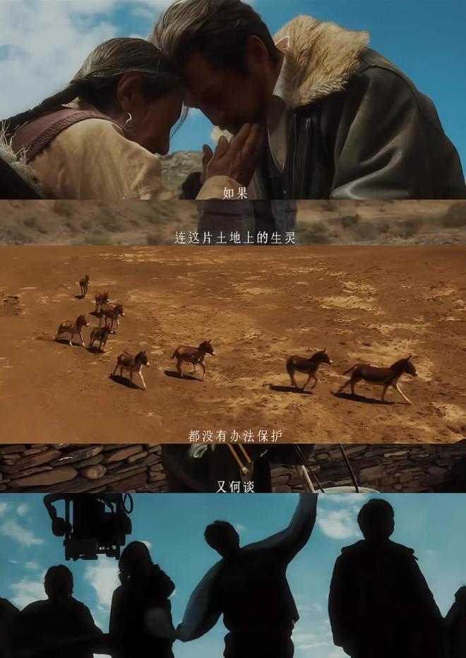 央视首播的电视剧_首播新剧_