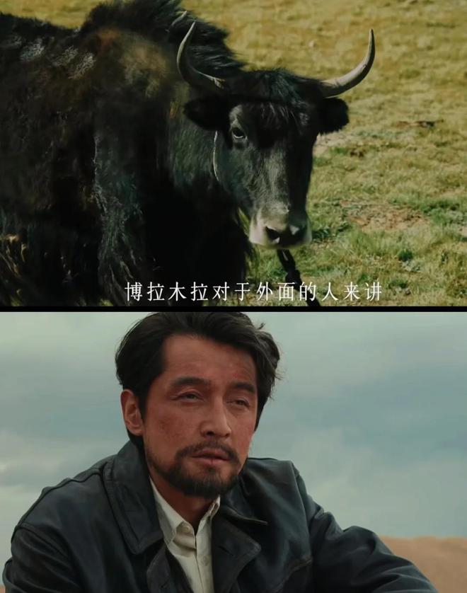 首播新剧_央视首播的电视剧_