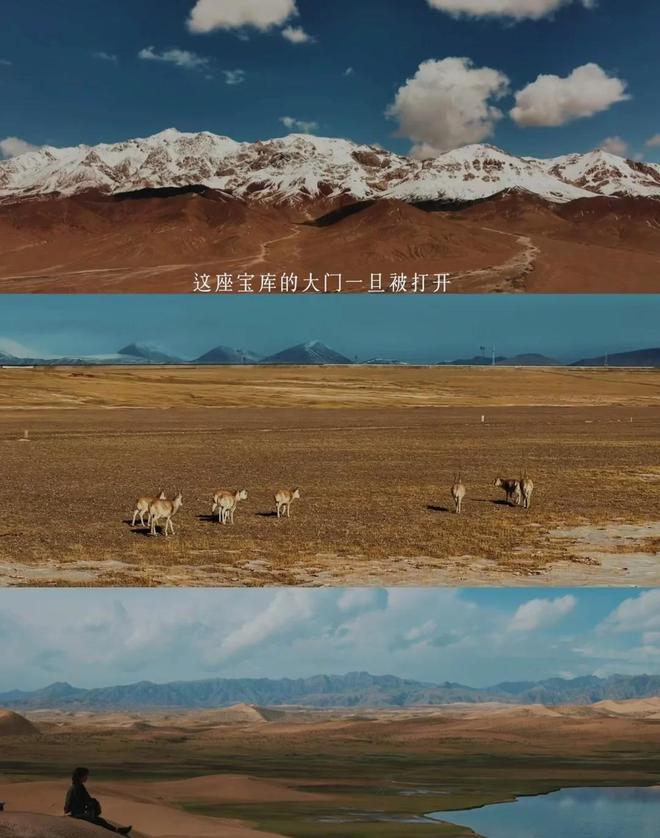 央视首播的电视剧__首播新剧