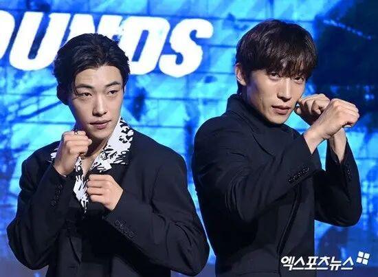 _播放电影综艺_电视剧电影综艺