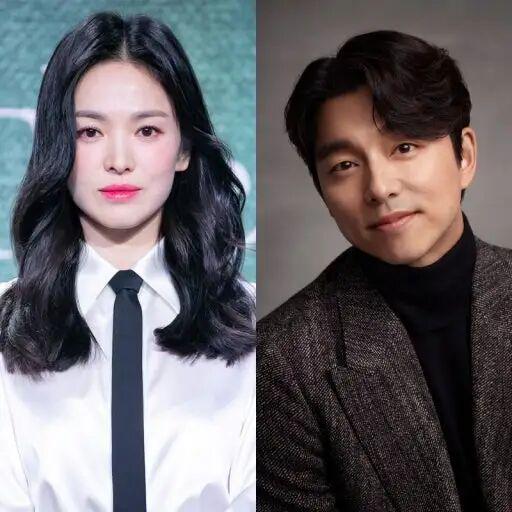 播放电影综艺_电视剧电影综艺_