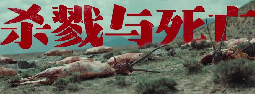 首播预告_首播的电视剧_