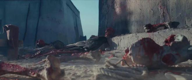 大秦直道央视首播__绕晕人的题目