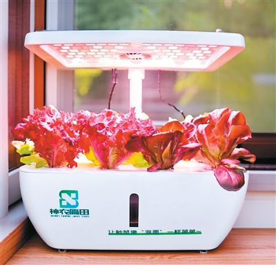 _ai里怎么让图片有透视_泥土固化成型技术