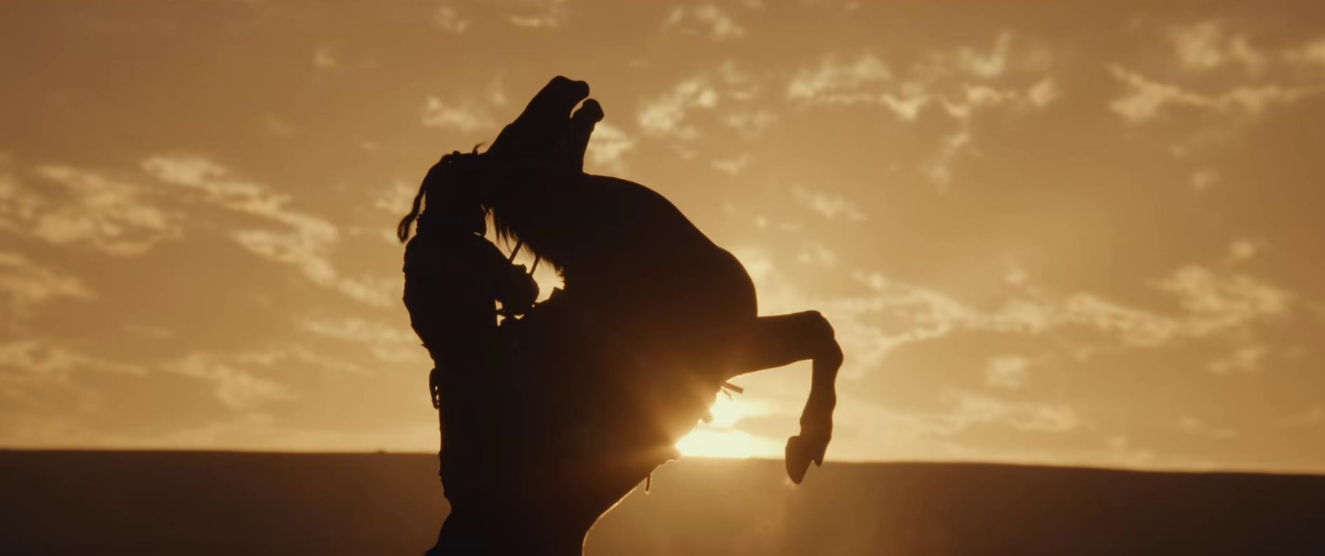 太平节目_电视剧太平_