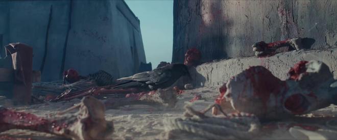 2017年央视首播武侠__老中医央视首播