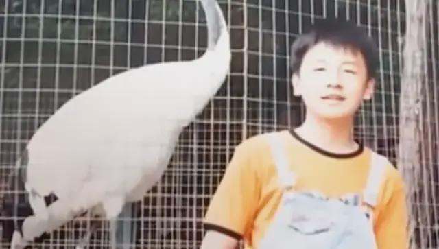 娱乐圈影帝小说完结_娱乐圈影帝_