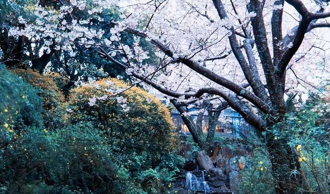 原子弹炸后百年内寸草不生，今广岛却住满了人，看看专家怎么说？_原子弹炸后百年内寸草不生，今广岛却住满了人，看看专家怎么说？_