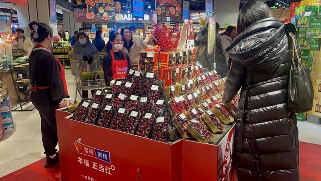 _因为价格便宜_价格暴跌原因