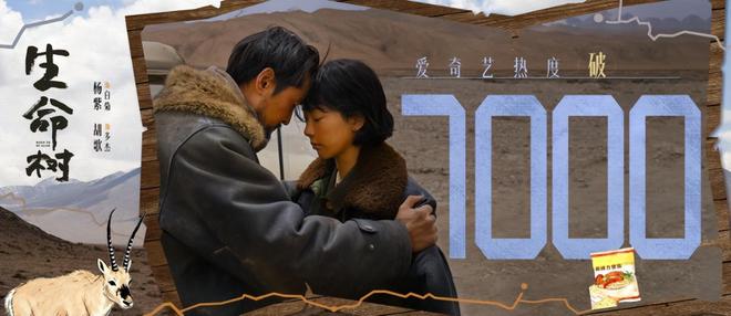 _胡歌告诉他我爱她_胡歌杨紫主演的电视剧