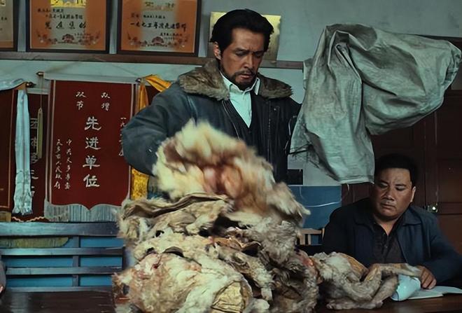 _央视杨紫_杨紫被央视表扬