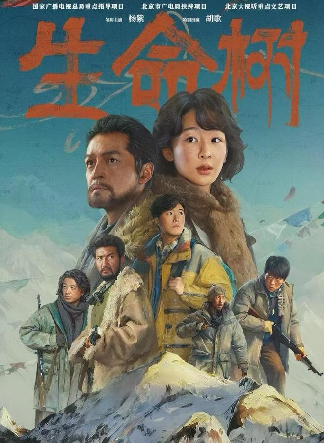 央视力挺杨紫_央视官宣杨紫_