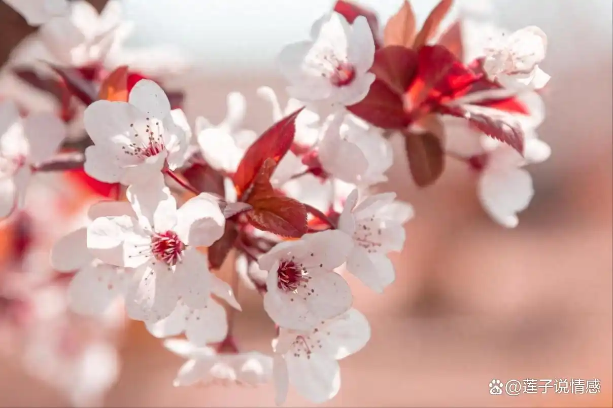 骗女人的下场__骗女人的后果