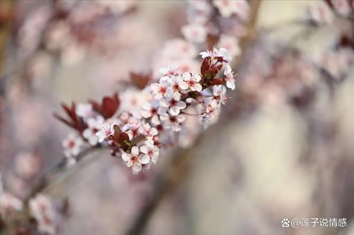 _骗女人的下场_骗女人的后果