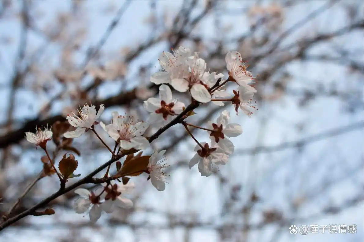 _骗女人的后果_骗女人的下场