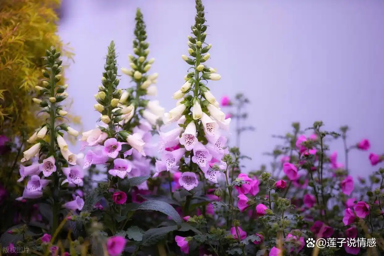 骗女人的下场_骗女人的后果_