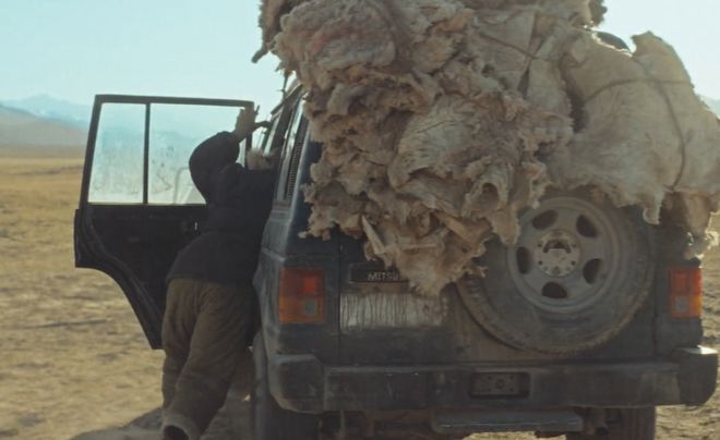 胡歌杨紫合作_胡歌和杨紫演的电视剧_